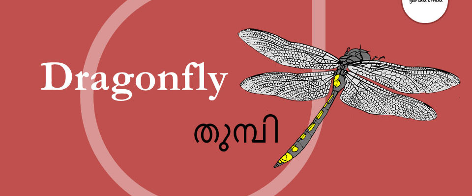 song, rhyme: onnanam kochuthumbi ente koode porumo nee